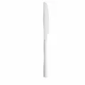 Stainless steel steak knife heavy duty table knife dinner silverware 222mm 68g dining - Dinner Knife / Silver