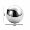 55mm Stainless Steel Ice Ball Round Whiskey Stones Metal Reusable Chilling Sphere for Drinks - Silver Ice Ball Single Pack 55mm