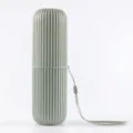Portable striped toothbrush travel case in light green with lanyard for convenient storage. - Gray