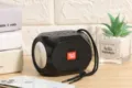 Detail des tragbaren Bluetooth-Lautsprechers für den Außenbereich mit schwarzem Gehäuse und Schlaufe. - Schwarz
