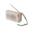 Tragbarer kabelloser Bluetooth Lautsprecher mit UKW Radio, Antenne und praktischem Trageband. - Grau