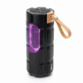Tragbarer wasserdichter Bluetooth Lautsprecher mit LED Lichtern und Trageband für draußen. - Schwarz