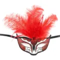 Gedetailleerde close-up van rood veren masker met glitters en edelsteen voor feest. - Veder Masker / Rood Wit