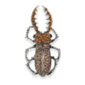Vintage crystal beetle brooch pin, antique silver tone rhinestone insect clothing accessory - xz4663D Coffee