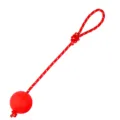 Red TPR rubber dog training ball with durable rope handle, perfect for interactive pet play. - Small (With Rope) / Red