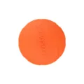 Bright Orange TPR Dog Frisbee Toy Durable Floating Interactive Pet Fetch Training Disc - Small 15cm / Orange