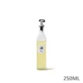 Japanese style glass oil dispenser bottle 250ml leakproof kitchen cruet for cooking oil and vinegar. - 250ml Oil Bottle