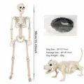 Halloween skeleton set with dog and rope, 90cm scary prop decoration for haunted house party. - 90CM Movable Skull Skeleton Dog Set