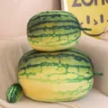 Set di cuscini in peluche di anguria simulata, morbida bambola di frutta per decorazione e regalo. - Cuscino Medio Anguria Lunga / 20X30cm