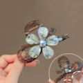 Koreanische High-End Glitzer Blumen Haarklammer große Haifischklammer für das Haarstyling - Graue Blume (Transparent Grau Basis AB Seite)