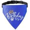 Bandana anniversaire bleu pour animal de compagnie avec sangle réglable pour chat et chien. - S / Style BOY Bleu