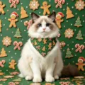 Gros plan sur le détail du bandana de Noël pour animaux, bavoir chat vert pain d'épices. - Style Noël B