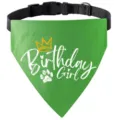 Dog birthday bandana detail view, green pet bib collar with crown and text design. - Green Girl Style