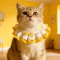 Cute cat lace collar pet bib, yellow and white checkered bow detail, soft pet neckwear. - One Size / Yellow
