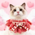 Cute valentine heart bow cat bib pet lace collar sweet puppy decorative scarf accessory - Heart Bow Style