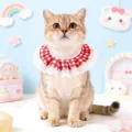 Close-up of cute red white checkered lace pet bib, perfect for cats and small dogs style. - Red Plaid