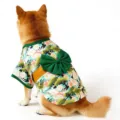 Vue détaillée d'un kimono pour animaux de style japonais avec imprimé floral et nœud. - S / Vert