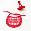Cute pet birthday hat and checkered bib set, perfect for cat and dog party celebrations. - Red Combo