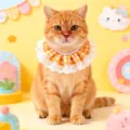Orange gingham lace cat bib detail, cute princess style pet collar for small dogs and cats. - Yellow Plaid
