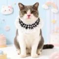 Cute cat lace bib black and white gingham pet collar princess style kitten neck accessories - Black Plaid