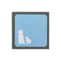 Pet hair remover sponge for dogs and cats cleaning tool for sofa carpet furniture clean easily - Square