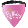 Pink pet birthday bandana detail with crown print and adjustable black collar for cats dogs - Pink GIRL Style
