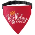 Bandana d'anniversaire pour chien rouge avec collier noir reglable, couronne et motif de patte. - S / Style Girl rouge