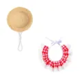Joli chapeau de paille pour animaux et bavoir en dentelle à carreaux rouges pour chats et chiens. - Taille unique / Combo Rouge