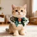 Bavoir de collier de chat de Noël avec nœud papillon vert et dentelle pour animal - Taille unique (3-22) / Vert