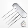 Professional 5-piece stainless steel dental pick and mirror set for oral care cleaning. - As Shown / Set