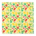 Summer tropical fruit print pet grooming bag fabric and outdoor portable pet carrier - Ice Cream Small 35x35 (Under 1.5kg)