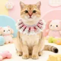Cute lace pet bib for cats and small dogs, sweet princess style ruffled collar pet accessory. - XS / Crimson