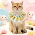 Fresh lace pet bib for cats and small dogs, cute lemon print collar with ruffles. - Fairy Yellow