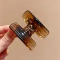 Molla per capelli in acetato stile coreano a forma di H, design tartarugato con fiocco in metallo. - Pinza Capelli Fiocco H / Ambra