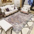 Tapis de Salon Style Persan Vintage Rétro Ethnique Tapis en Velours Cristal Variante - Style 5