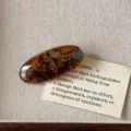 Acetate oval hair clip for women, vintage tortoise shell pattern side clip and stylish barrette. - Blue Brown