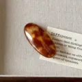 Elegant acetate oval hair clip for women, stylish tortoiseshell design for chic daily hairstyles. - Caramel Pattern