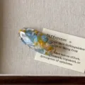 Acetate oval hair clip, blue yellow marbled side hair clip, elegant resin hair accessory for women. - Translucent Greenish Yellow