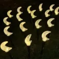 Solar aangedreven maanvormige LED snoerverlichting voor buiten tuin en gazon decoratie. - Warmwitte maanverlichting / 1-op-10 zonne-lichtsnoer (8 functies)