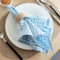 Close-up detail of blue and white checkered cotton napkin in white ceramic dinner plate. - 18x18 Inch / Light Blue