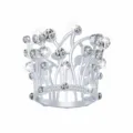 Primer plano de los finos detalles de la corona tiara de diamantes de imitación. - Plata + Estrás Blanco