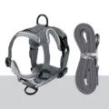 Grey breathable mesh pet cat harness and leash set, anti-breakaway outdoor walking strap. - L / Gray