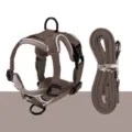 Brown mesh pet cat dog harness and leash set breathable anti escape walking vest strap - L / Coffee