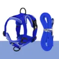 Blue mesh cat harness and leash set escape-proof adjustable pet vest for outdoor walking - L / Dark Blue