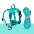 Breathable mesh pet cat harness and leash set, anti-escape vest style for safe outdoor walking. - L / Lake Blue
