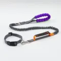 Laisse élastique durable pour chien avec poignée en mousse violette et collier gris assorti - Corde simple grise et collier S (jusqu'à 5 kg)