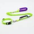 Laisse pour chien élastique vert néon et collier avec poignée en mousse violette confortable - Corde simple verte et collier S (jusqu'à 5 kg)