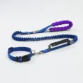 Laisse élastique bleue pour chien avec poignée en mousse et design bungee antichoc - Corde simple bleue et collier S (jusqu'à 5 kg)