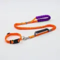 Laisse élastique orange pour animal avec poignée mousse et collier - Laisse simple et collier orange S (Moins de 10 jin)
