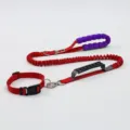Laisse élastique rouge pour chien avec poignée en mousse violette et design anti-choc sûr - Laisse simple et collier rouge S (Moins de 10 jin)